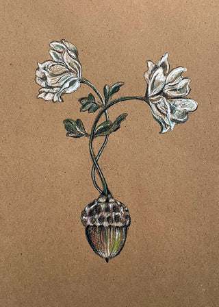 Acorn and Anemone Greeting Card