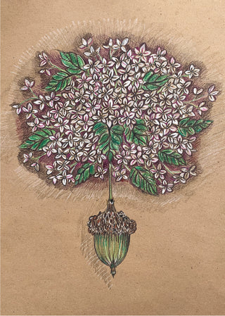 Acorn & Hydrangea Greeting Card