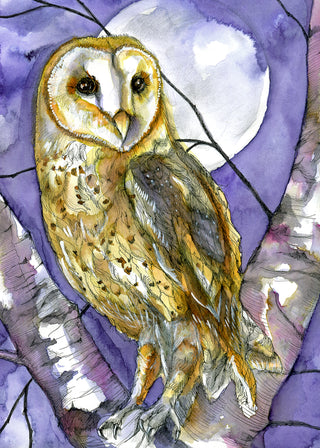 Owl is Calm, Owl is Bright Greeting Card