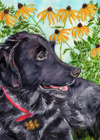 Black Labrador Retriever Greeting Card