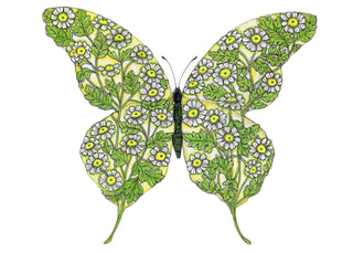 Chamomile Butterfly Greeting Card