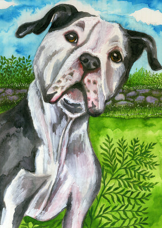 Dog Days Greeting Card