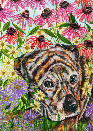 Fancy Dog Greeting Card