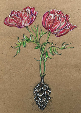 Pinecone & Anemone Greeting Card