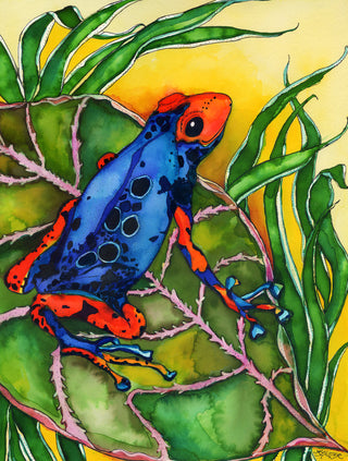 Poison Arrow Frog Greeting Card