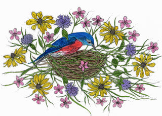 Best Dressed Nest Bluebird Greeting Card