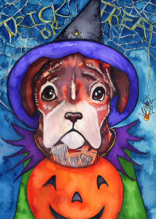 Dog Treats Greeting Card