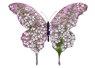 Pink Hydrangea Butterfly Greeting Card