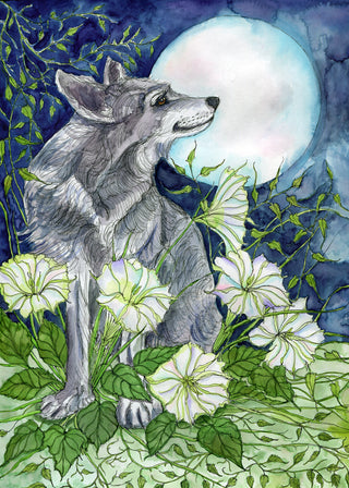 Moonbeam Wolf Greeting Card