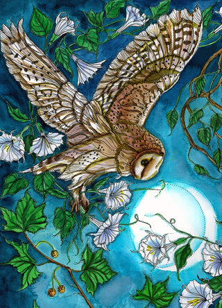 Owl Meets Moon Greeting Card