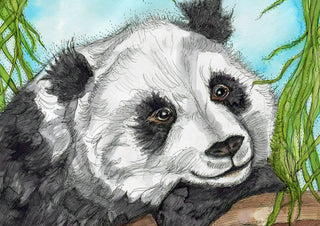 Panda Daydream Greeting Card