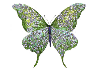 Spring Wildflowers Butterfly Greeting Card