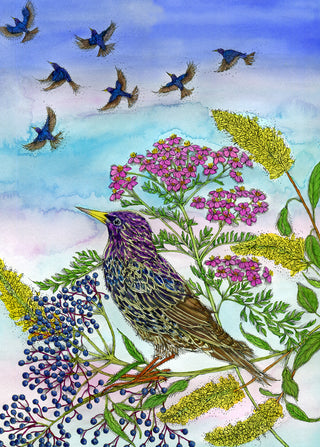 Summer Starling Greeting Card