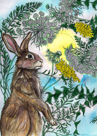 Salutations to the Sun Greeting Card