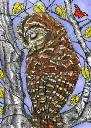 Wise Wings Greeting Card